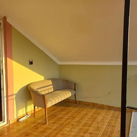 Sunshine With Terrace